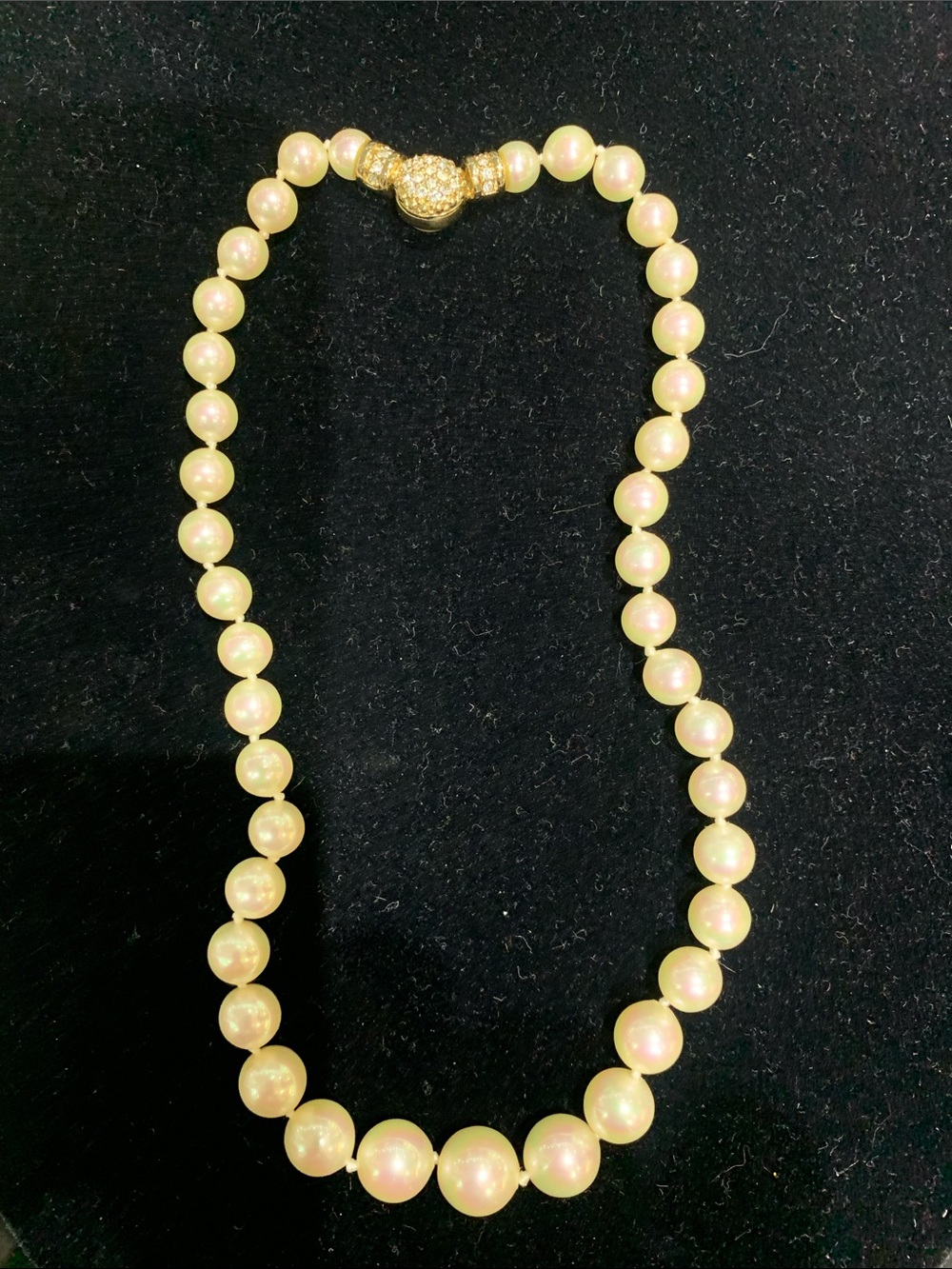 Classic Pearl Bead Necklace in Cream with Gold Clasp